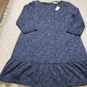 Loft Blue and Black Dress